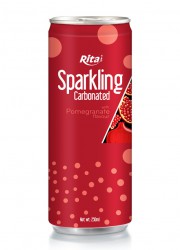 Sparkling Carbonated 250ml can 03