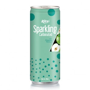 Sparkling Carbonated 250ml can 04