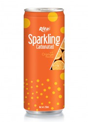 Sparkling Carbonated 250ml can 05