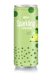 Sparkling Carbonated 250ml can 07